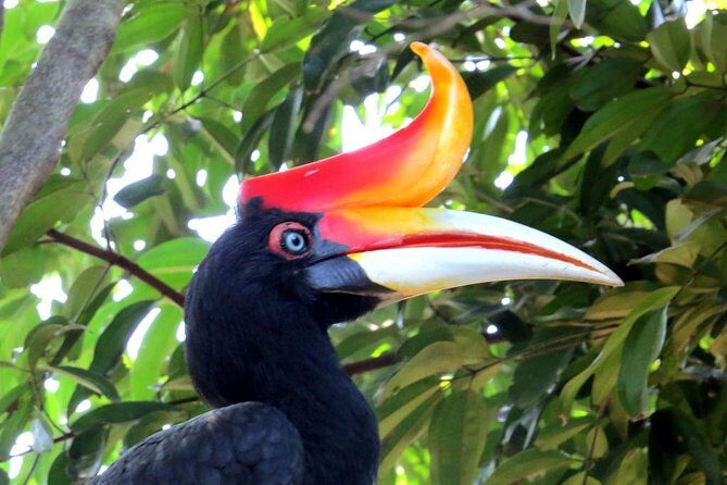 Garden & Parks Tour From Kuala Lumpur - Exploring Kuala Lumpur’s Green Heart: The Garden & Parks Tour