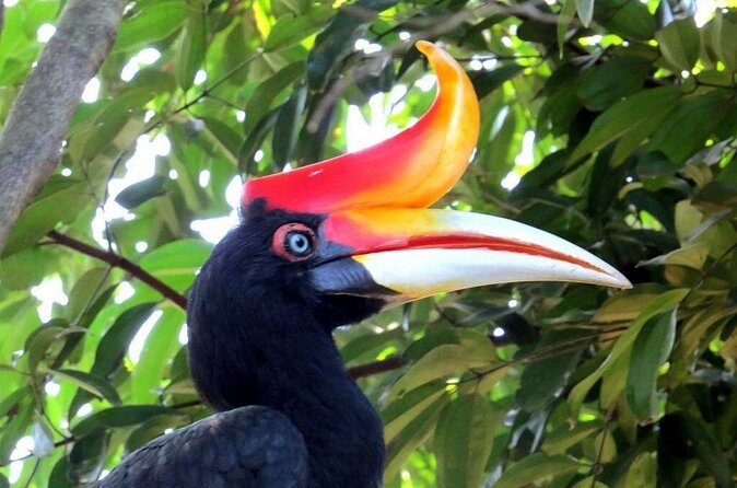 Garden & Parks Tour From Kuala Lumpur - Who Will Love This Tour?