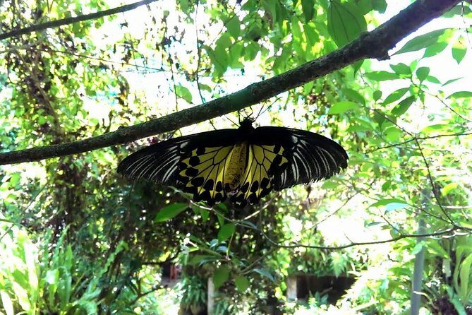 Garden & Parks Tour From Kuala Lumpur - Final Thoughts