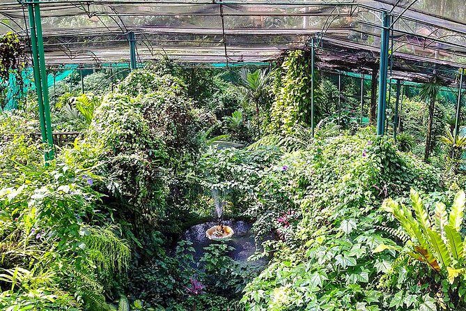 Garden & Parks Tour From Kuala Lumpur - FAQ: Your Practical Questions Answered