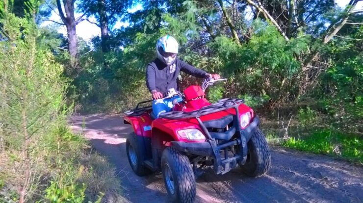 GARDEN ROUTE: QUAD BIKE FUN RIDE IN WILDERNESS WITH WILDX - Activity Details