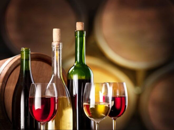 Garden Route & Wine Route 4 Day Tour From Cape Town - Included Activities