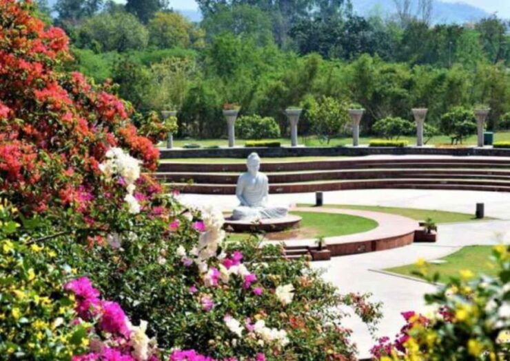 Garden Trails of Chandigarh (Guided Full Day City Tour) - Highlights