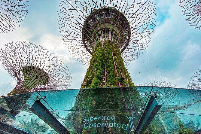 Gardens by the Bay Cloud Forest Flower Dome and Supertree - Good To Know