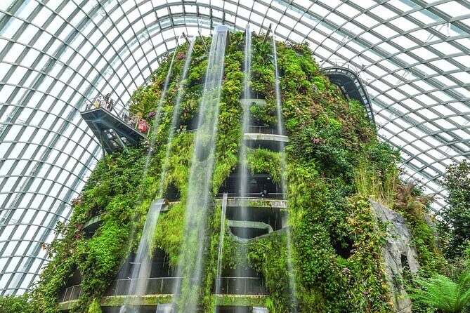 Gardens by the Bay Cloud Forest Flower Dome and Supertree - Final Thoughts: Is This Tour Right for You?