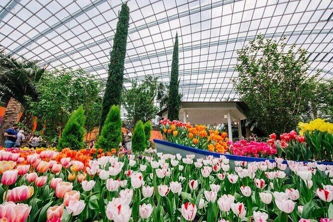 Gardens by the Bay E - Ticket with Flower Dome +CF Singapore - Logistics and Practicalities