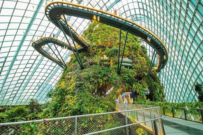 Gardens by the Bay Flower Dome and Cloud Forest Entry Ticket - Who Is This Tour Perfect For?