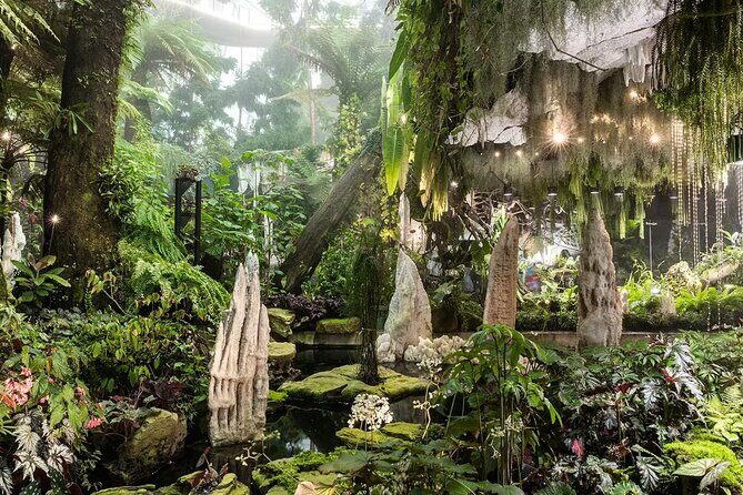 Gardens by the Bay Flower Dome and Cloud Forest Entry Ticket - An In-Depth Look at Gardens by the Bay: Flower Dome & Cloud Forest