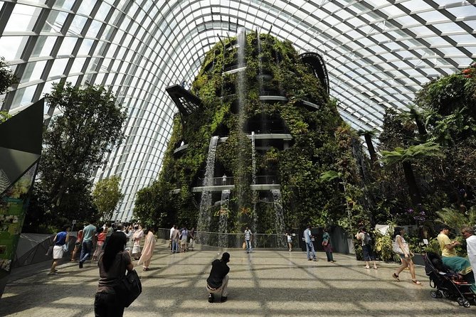 Gardens By The Bay -Flower Dome & Cloud Forest - Exploring the Cloud Forest