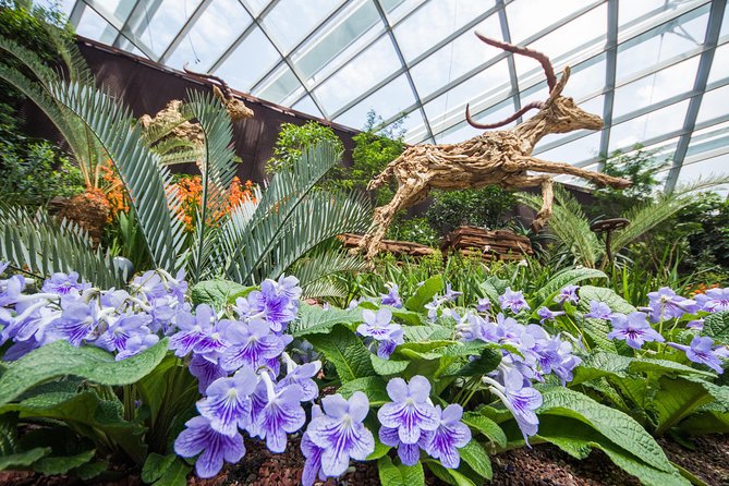 Gardens By The Bay -Flower Dome & Cloud Forest - Tips for a Smooth Visit
