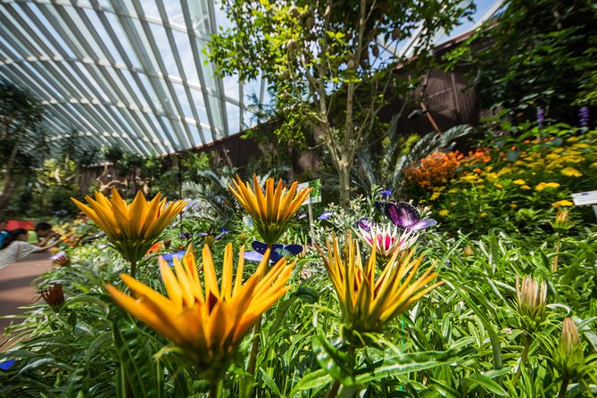 Gardens By The Bay -Flower Dome & Cloud Forest - Common Questions