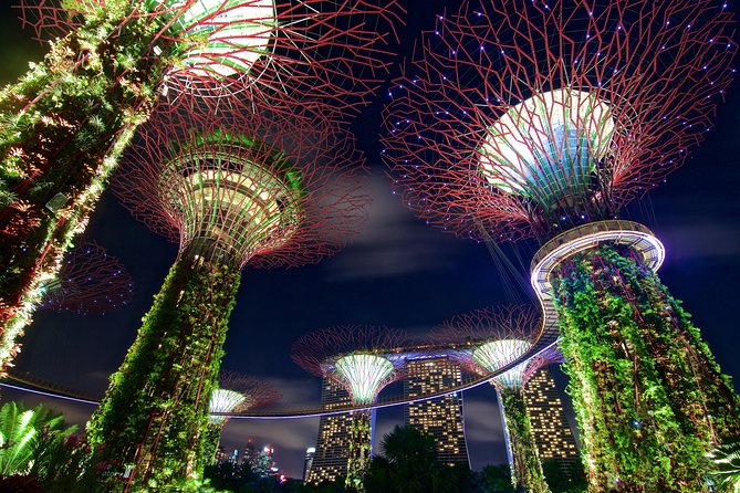 Gardens By The Bay Night Long-Exposure Photography - Key Tips for Night Long-Exposure Photography