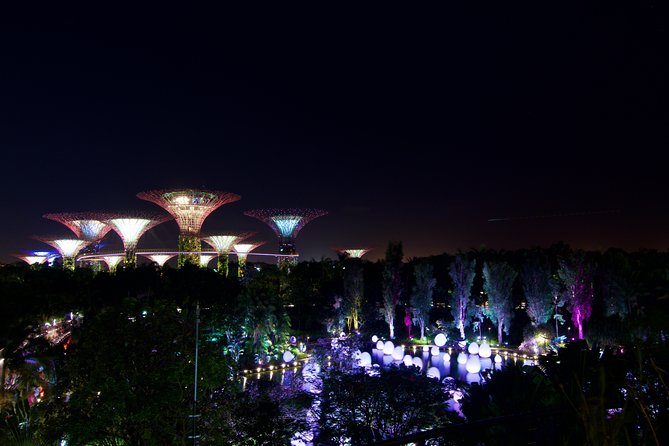 Gardens By The Bay Night Long-Exposure Photography - Best Camera Settings for Night Long-Exposure Photography