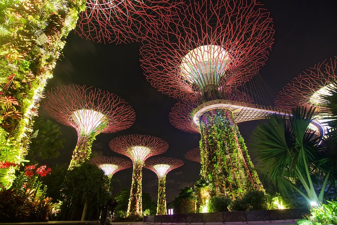Gardens By The Bay Night Long-Exposure Photography - Techniques for Creating Dramatic Light Trails in Night Photography
