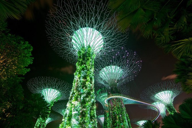 Gardens By The Bay Night Long-Exposure Photography - Editing Tips to Enhance Your Night Long-Exposure Images