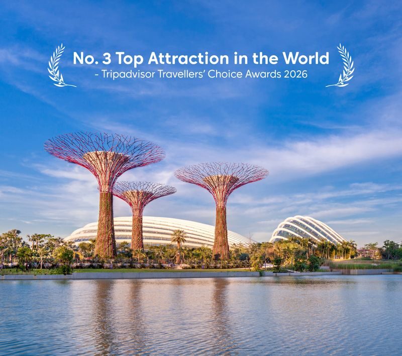 Gardens by the Bay Ticket - Key points to know