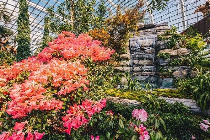 Gardens By The Bay Ticket - What to Expect