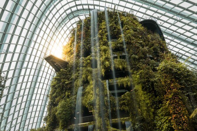 Gardens by the Bay with 2 Flower Dome + Marina Bay Sands Skypark - Who Should Consider This Tour?