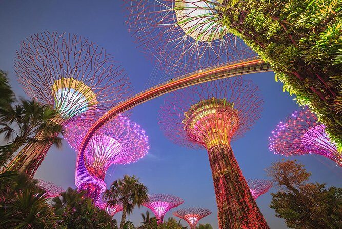 Gardens by the Bay with 2 Flower Dome + Marina Bay Sands Skypark - Good To Know