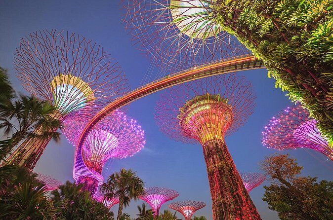 Gardens by the Bay with 2 Flower Dome + Marina Bay Sands Skypark - Practical Tips for Booking & Enjoying the Tour