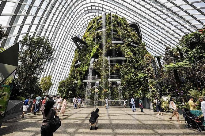 Gardens by the Bay With Both Domes (Small-Group Pickup)  - Singapore - Traveler Photos and Experiences