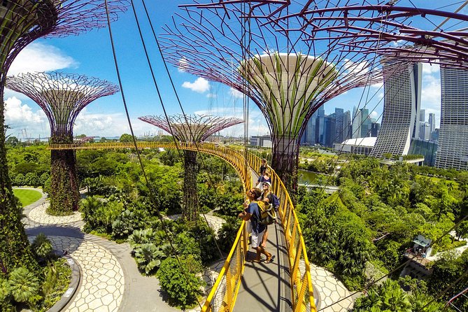 Gardens by the Bay With Both Domes (Small-Group Pickup)  - Singapore - Reviews of Gardens by the Bay