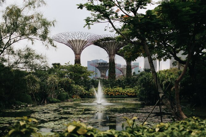Gardens Under Moonlight: A Private Oasis for Lovers in Singapore - Captivating Nighttime Views