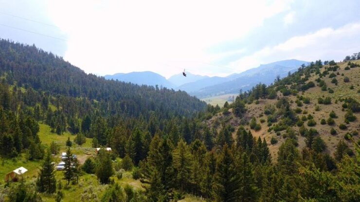 Gardiner: Guided Zipline Ecotour (3 Hours) - Experience Highlights