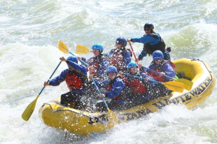 Gardiner: Half Day Whitewater Raft Trip on the Yellowstone - Experience Highlights