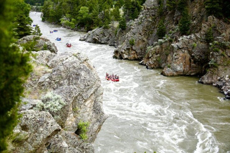 Gardiner: Yellowstone River Half-Day Whitewater Rafting - Experience Highlights
