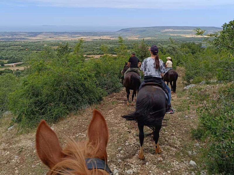 Gargano National Park: horseback riding - Authentic Reviews You Can Trust