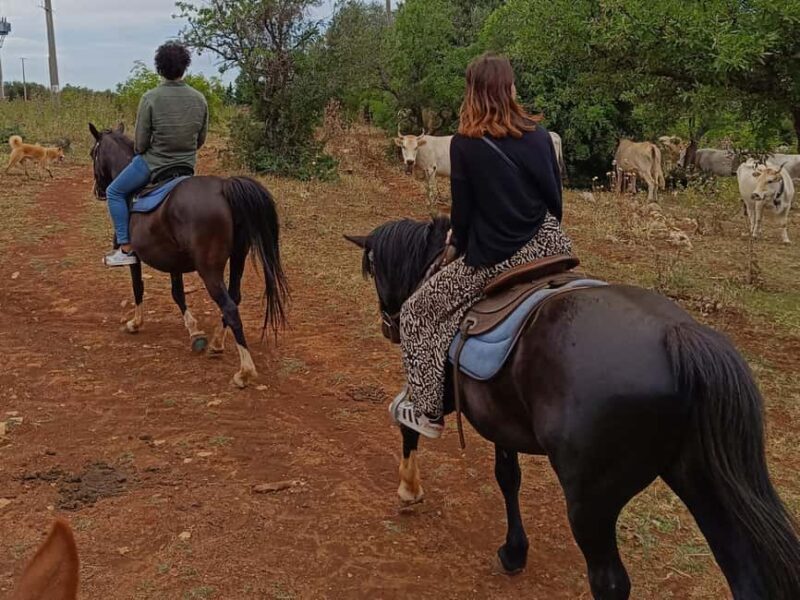 Gargano National Park: horseback riding - Final Thoughts