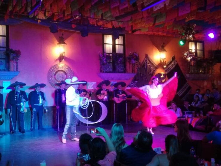 Garibaldi by Night With Dinner at Bellini - Activity Details