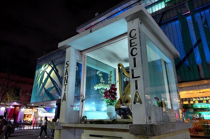 Garibaldi Nights Tour - Who Is This Tour Best For?