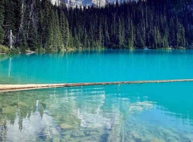 Garibaldi Park/Joffre Lakes/ Hiking Day Trip - Highlights and Activities