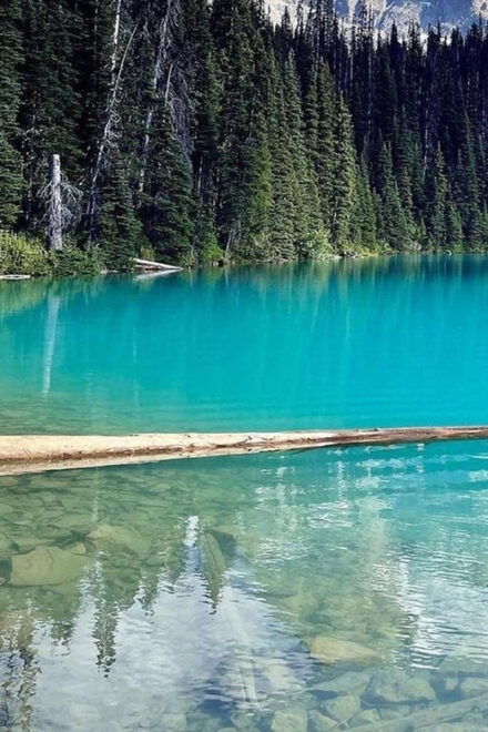 Garibaldi Park/Joffre Lakes/ Hiking Day Trip - Lunch Break Near Middle Joffre Lake