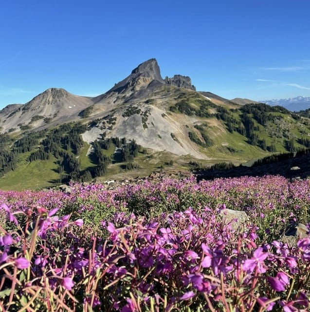 Garibaldi Park/ Panorama Ridge/ Hiking Day Trip - Hiking Experience