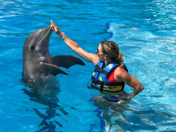 GARRAFON ENCOUNTER - Dolphin Encounters