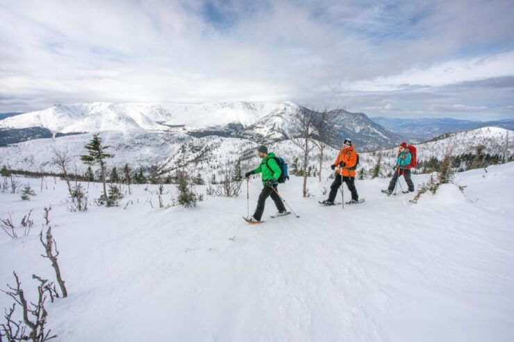 Gaspésie: National Park Entry Ticket With Snowshoe Rental - Booking Details