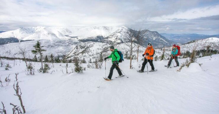 Gaspésie: National Park Entry Ticket With Snowshoe Rental - Experience