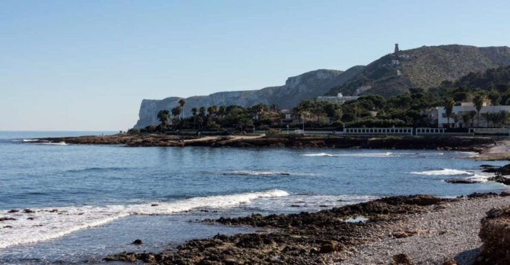 Gastronomic and Tasting Tour of Denia - Experience Highlights