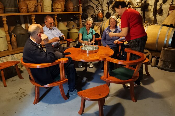 Gastronomic and Wine Tasting Private Tour - Wine Tasting Experience