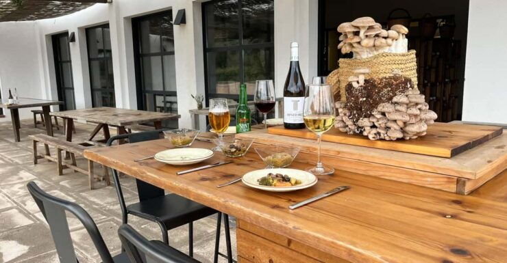 Gastronomic Experience in Mushroom Cultivation - Good To Know