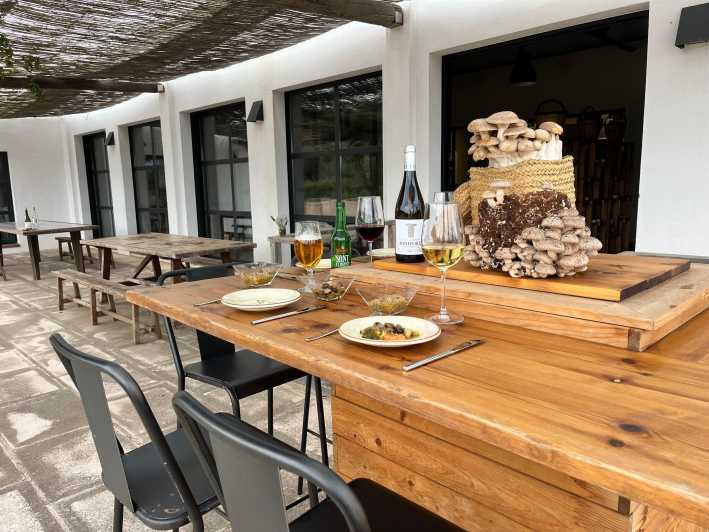 GASTRONOMIC MUSHROOM EXPERIENCE. Tour Not Included - Tasting Details
