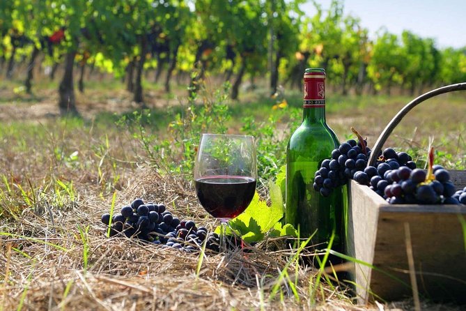 Gastronomic Tour in Armenia - Culinary Experiences