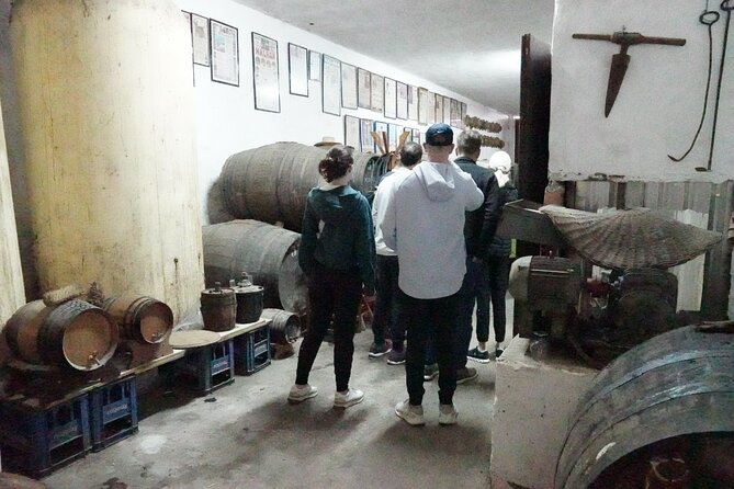 Gastronomic Tour in Montes De Malaga Natural Park by Electric Car - Insider Tips for a Memorable Experience