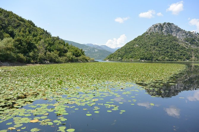 Gastronomy and Sightseeing in Montenegro - Lake Skadar & Cetinje Private Tour - Convenient Pickup Locations