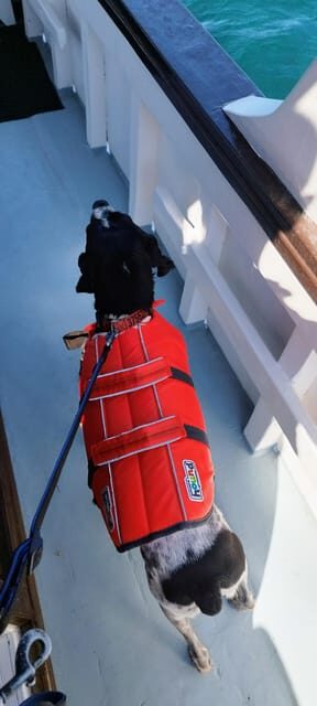 Gastronomy boat excursion - Food and Beverage: The Heart of the Experience