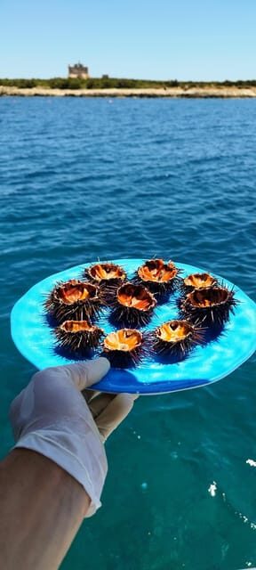 Gastronomy boat excursion - The Practicalities