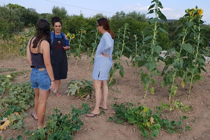 Gastronomy Experience - Mizithropita Recipe